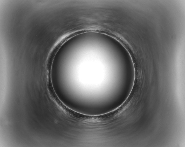 X0000086961414200704301228