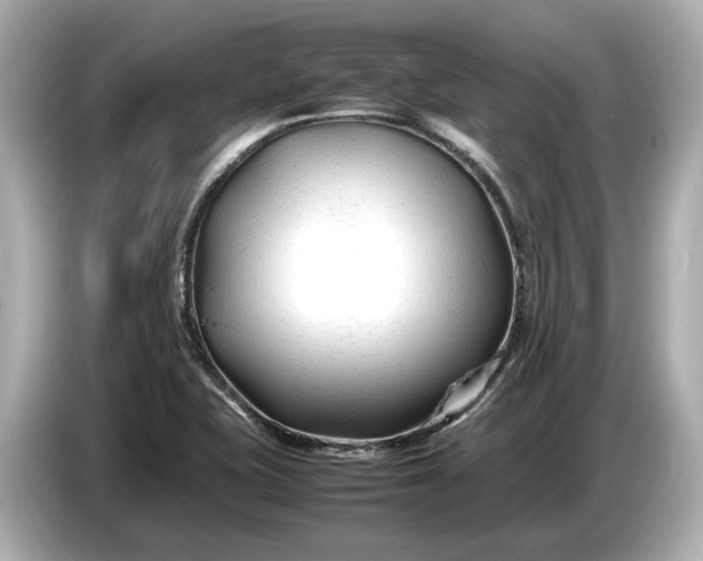 X0000086961415200704301228
