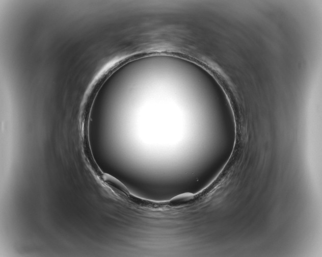X0000086961416200704301228