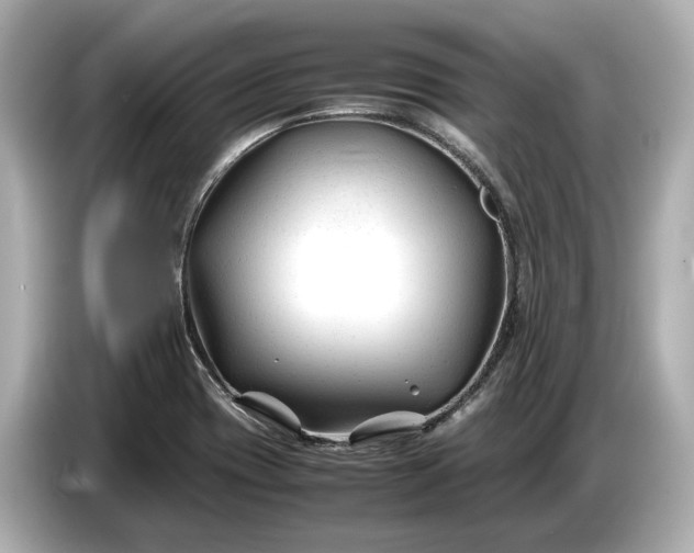 X0000086961417200704301228