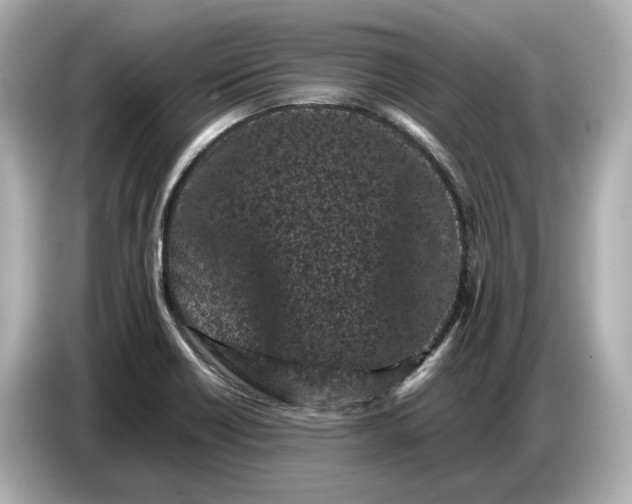 X0000086961418200704301228