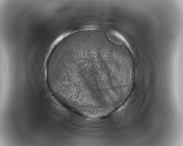 X0000086961419200704301228