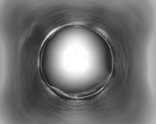 X0000086961420200704301228