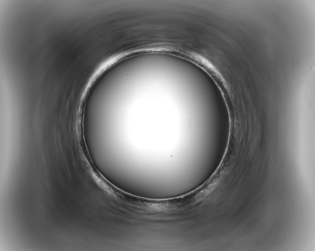 X0000086961421200704301228
