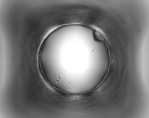 X0000086961423200704301228