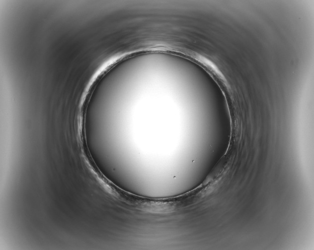 X0000086961424200704301228