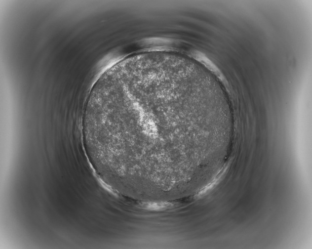 X0000086961425200704301228