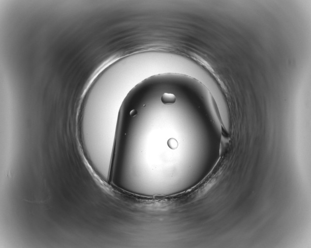 X0000086961426200704301229