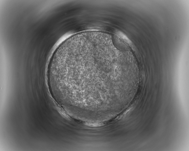 X0000086961427200704301229