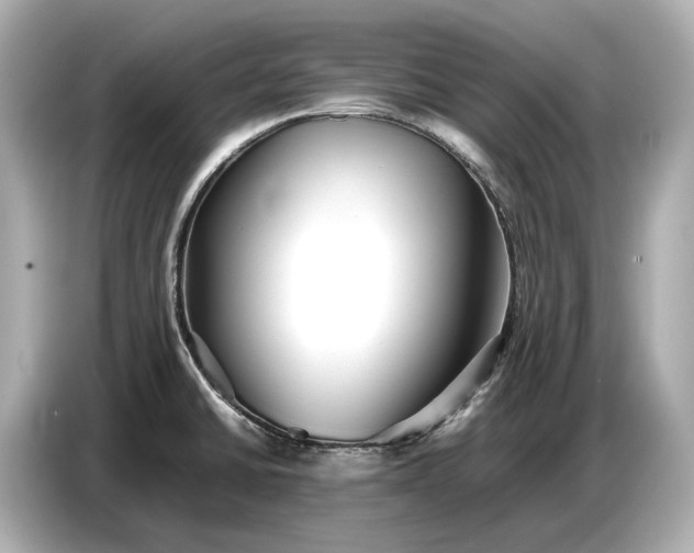 X0000086961430200704301229