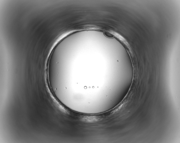 X0000086961431200704301229