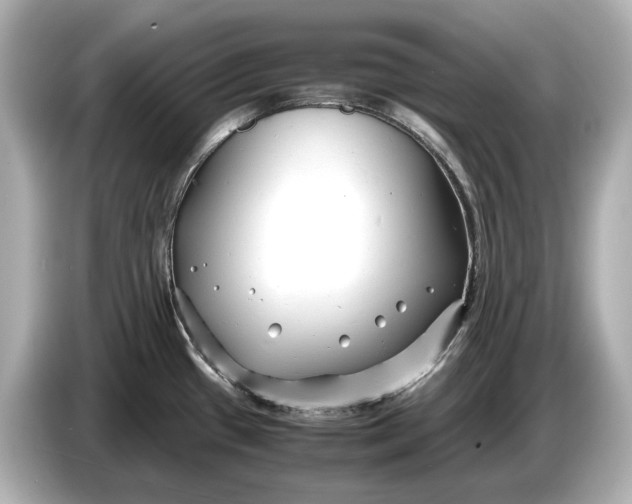 X0000086961433200704301229