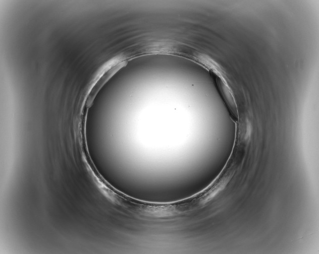 X0000086961434200704301229