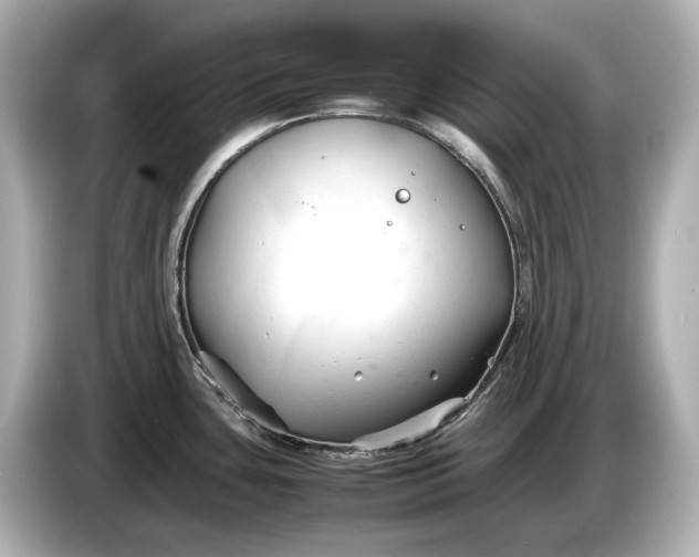 X0000086961435200704301229