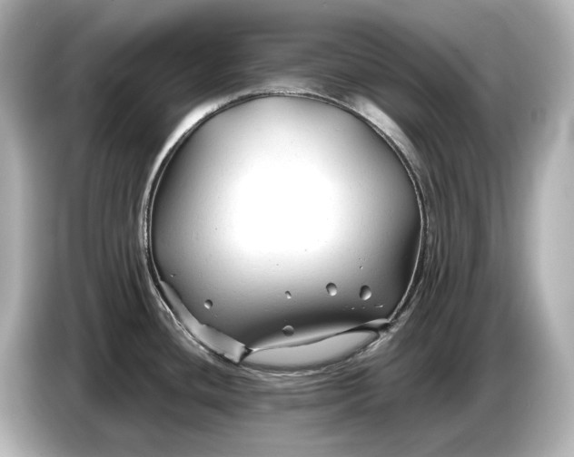 X0000086961436200704301229