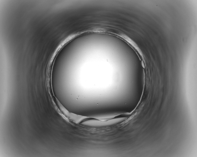 X0000086961437200704301229