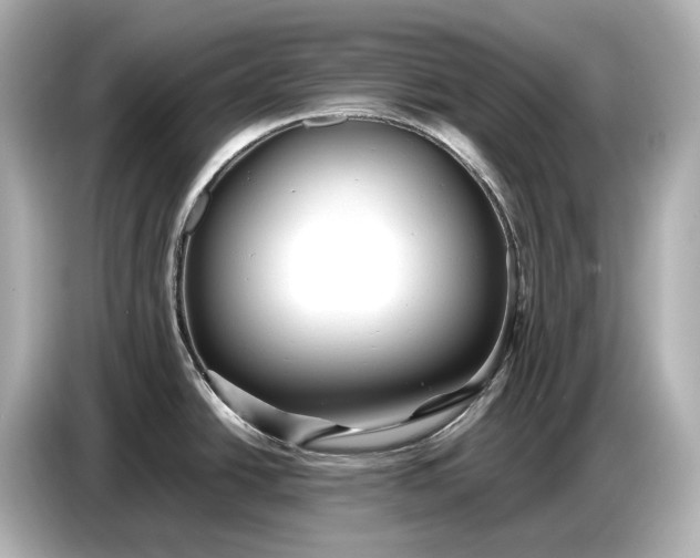 X0000086961438200704301229
