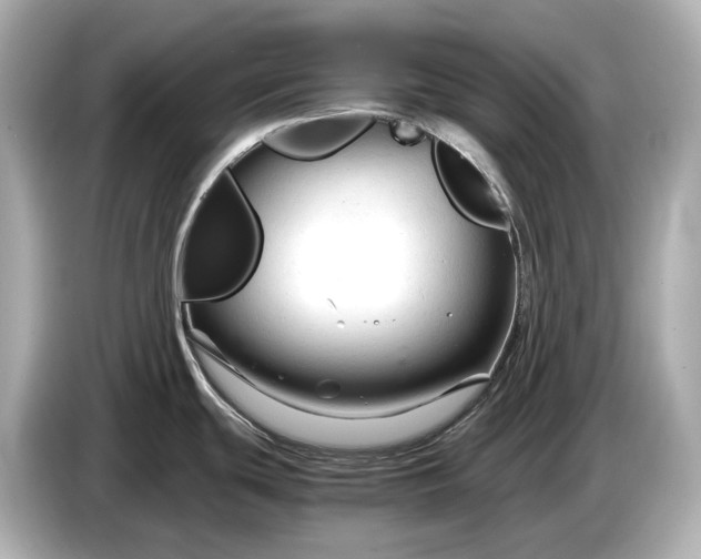 X0000086961439200704301229