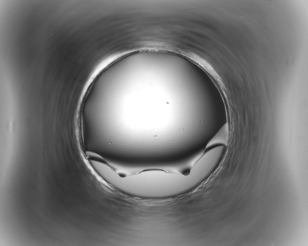 X0000086961440200704301229