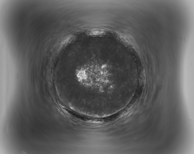 X0000086961441200704301228