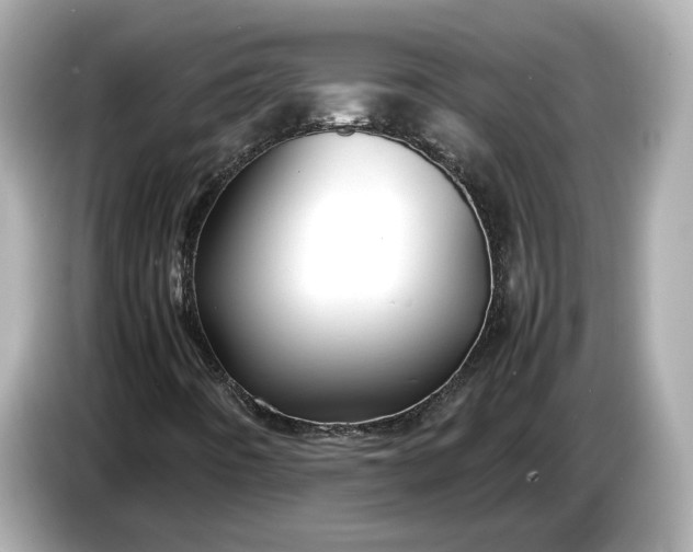 X0000086961442200704301228
