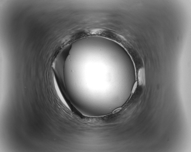X0000086961443200704301228