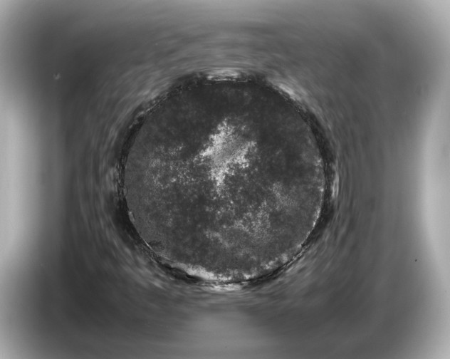 X0000086961445200704301228