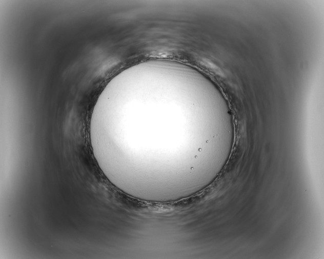 X0000086961446200704301228