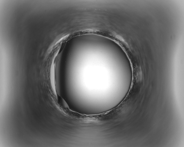 X0000086961448200704301228
