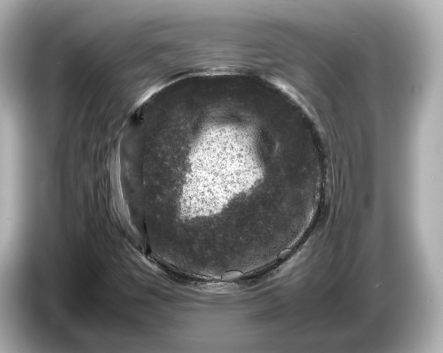 X0000086961449200704301228