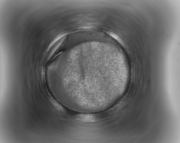 X0000086961450200704301228