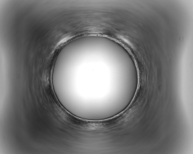 X0000086961451200704301228