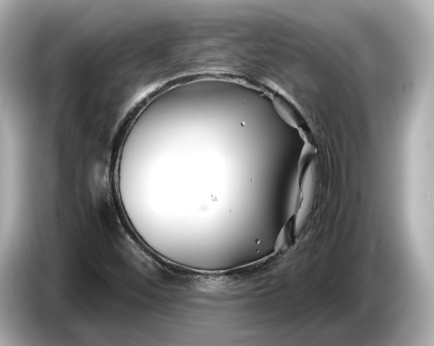 X0000086961452200704301228