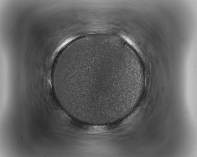 X0000086961453200704301228