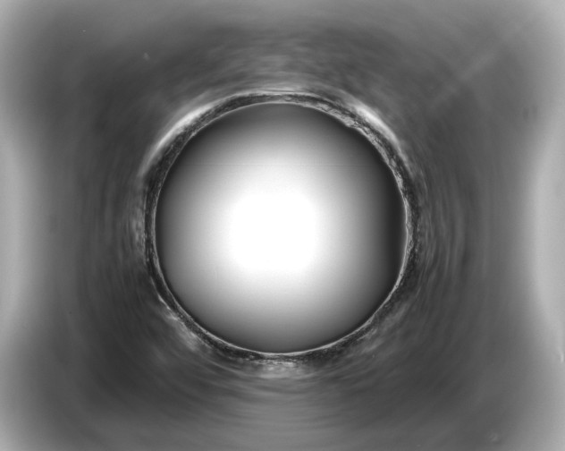 X0000086961456200704301228