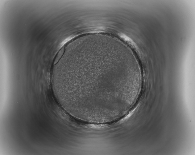 X0000086961457200704301228
