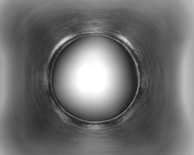 X0000086961458200704301228