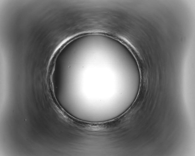 X0000086961460200704301228