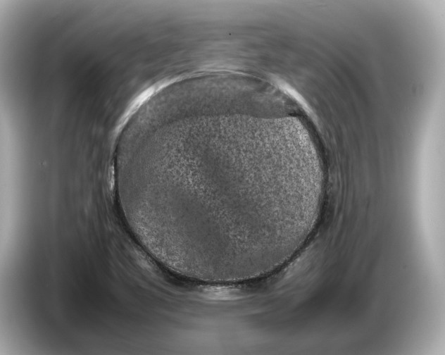 X0000086961461200704301228