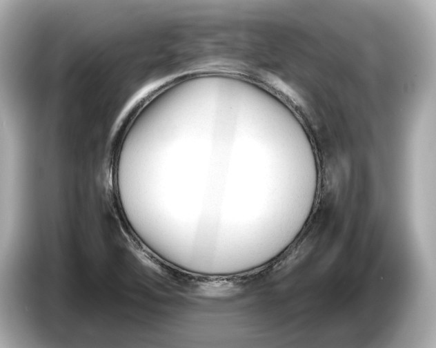 X0000086961462200704301228