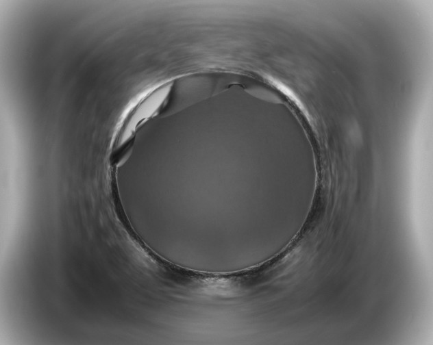 X0000086961463200704301228