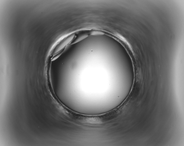 X0000086961464200704301228