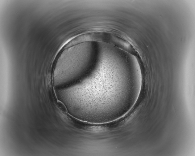X0000086961465200704301228