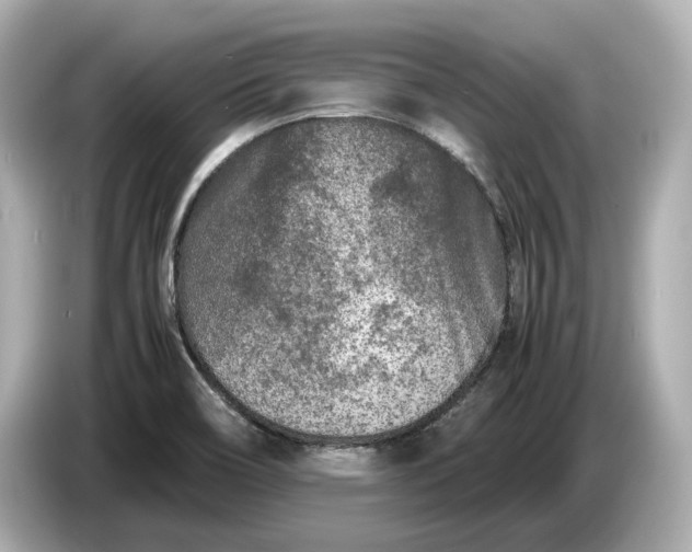 X0000086961466200704301228