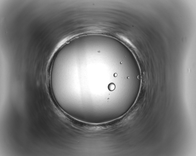 X0000086961467200704301228