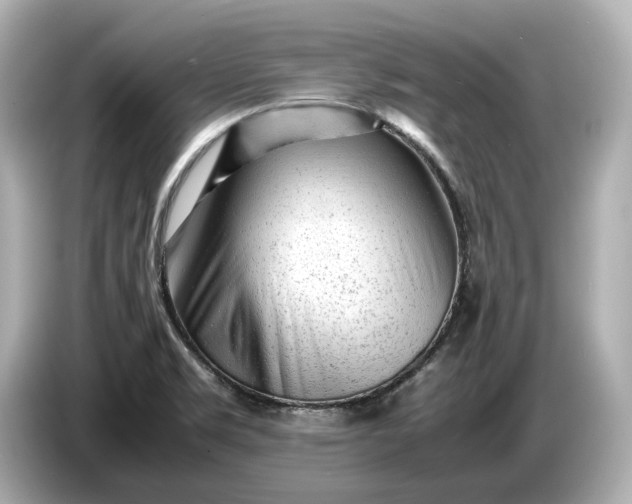 X0000086961469200704301228