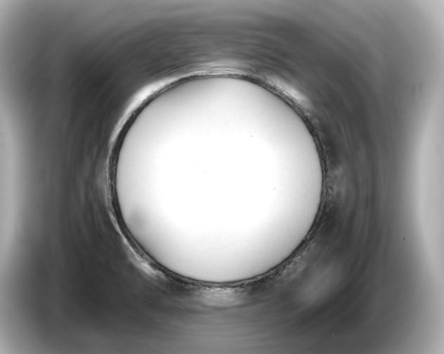 X0000086961470200704301228