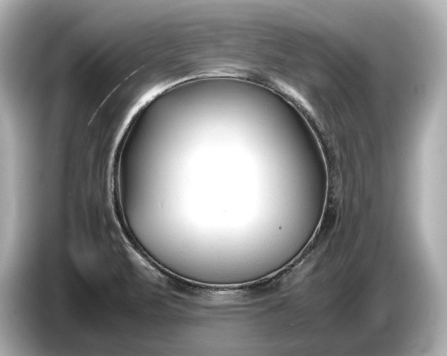 X0000086961471200704301228