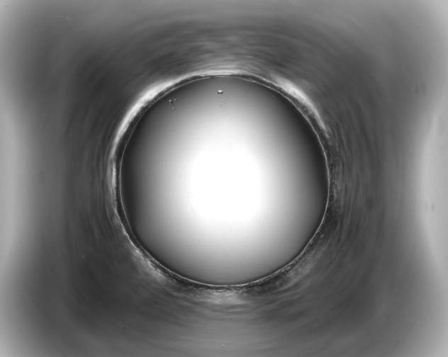 X0000086961472200704301228