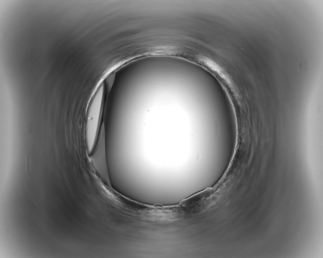 X0000086961473200704301228